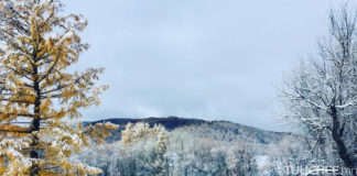 Ихэнх нутгаар хүйтний эрч эрс чангарна