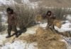 Зэрлэг амьтны амьдрах орчныг тэтгэх, идэш тэжээлийн хомстолд орохоос урьдчилан сэргийлж биотехникийн арга хэмжээ ав