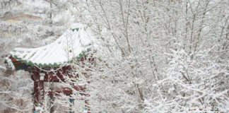 Өнөөдөр нутгийн зүүн хагаст хүйтэн байна