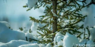 Баруун аймгуудын нутгийн баруун хэсгээр ялимгүй цас орно