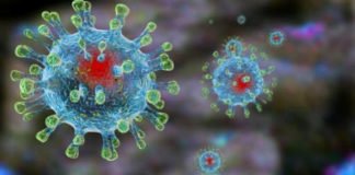 БНСУ-д Коронавирусын халдвар авсан МУ-ын иргэн О өнөөдөр 17:40 цагт нас барсан байна.