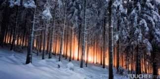 Нийслэлд ялимгүй хур тунадас орно