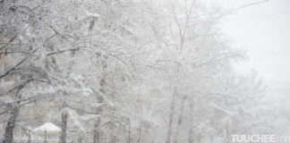 Цас шуурахыг анхааруулж байна