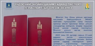 ИРЭХ САРЫН 1-НЭЭС ЦАХИМ ГАДААД ПАСПОРТ ХЭРЭГЛЭЭНД НЭВТЭРНЭ