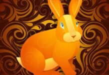 ТУУЛАЙ ЖИЛ ДЭЛГЭР САЙХАН ЖИЛ БОЛНО