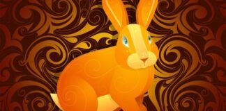 ТУУЛАЙ ЖИЛ ДЭЛГЭР САЙХАН ЖИЛ БОЛНО