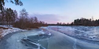 МӨСӨН ДЭЭГҮҮР ЗОРЧИХГҮЙ БАЙХЫГ САНУУЛЛАА