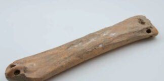 ХҮРЭЛ ЗЭВСГИЙН ҮЕД МОНГОЛЧУУДЫН АШИГЛАЖ БАЙСАН ЯСАН ТЭШҮҮР ОЛДЖЭЭ