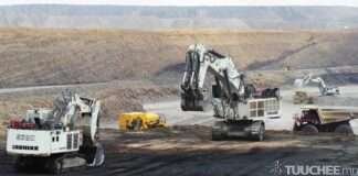 НҮҮРСНИЙ БОРЛУУЛАЛТЫН 20 ХУВИЙГ БИРЖЭЭР АРИЛЖЖЭЭ