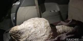 ҮЛЭГ ГҮРВЭЛИЙН БҮТЭН ЯСЫГ ОЛБОРЛОН, ӨНДӨР ҮНЭЭР ХУДАЛДАХ ЗОРИЛГОТОЙ БАЙЖ БОЛЗОШГҮЙ ҮЙЛДЛИЙГ ИЛРҮҮЛЖЭЭ