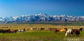 “БАГА БОГД ХАЙРХАН” УУЛЫГ АЙМГИЙН ТАХИЛГАТ ХАЙРХАН БОЛГОЛОО