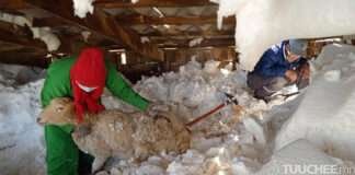 МАЛЧИД, ИРГЭДЭД ҮЗҮҮЛЭХ ЭРҮҮЛ МЭНДИЙН ТУСЛАМЖ ҮЙЛЧИЛГЭЭНИЙ ХҮРТЭЭМЖИЙГ НЭМЭГДҮҮЛНЭ