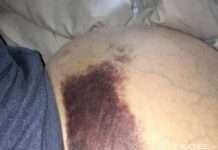 МОНГОЛЧУУДЫН НОЙР БУЛЧИРХАЙД ХАМГИЙН ХАЛТАЙ САРУУД ЭХЭЛЛЭЭ