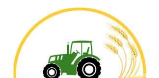 “Берес” ХХК бодис бордооны мэдээлэл