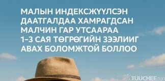 МАЛЧИН ТА АМЖИЖ МАЛАА ДААТГУУЛЖ ХӨРӨНГӨӨ Ч ХАМГААЛ, ЗЭЭЛЭЭ Ч АВ