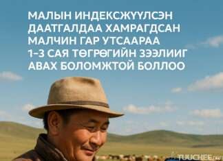 МАЛЧИН ТА АМЖИЖ МАЛАА ДААТГУУЛЖ ХӨРӨНГӨӨ Ч ХАМГААЛ, ЗЭЭЛЭЭ Ч АВ