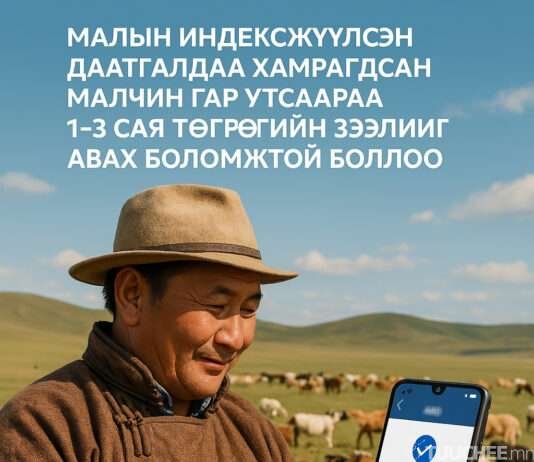 МАЛЧИН ТА АМЖИЖ МАЛАА ДААТГУУЛЖ ХӨРӨНГӨӨ Ч ХАМГААЛ, ЗЭЭЛЭЭ Ч АВ